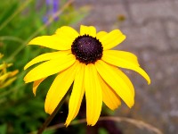 neu 001.jpg019