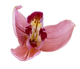002