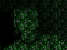 Gimp Tutorial Matrix Effekt