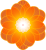 Vom Blatt zur Blüte